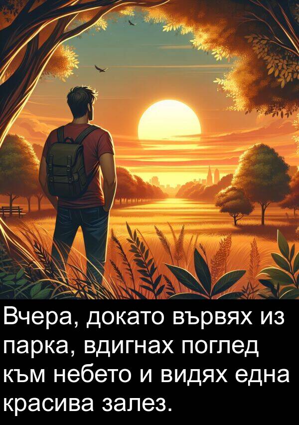 залез: Вчера, докато вървях из парка, вдигнах поглед към небето и видях една красива залез.