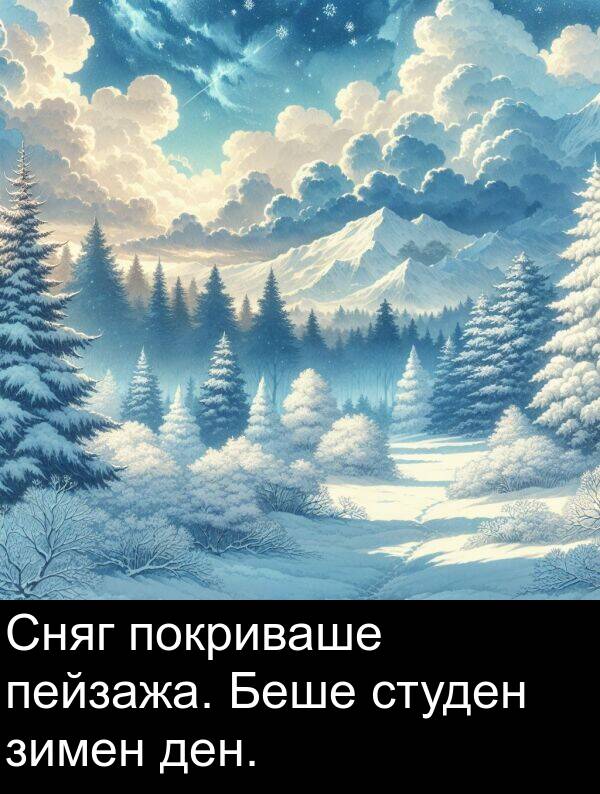 зимен: Сняг покриваше пейзажа. Беше студен зимен ден.