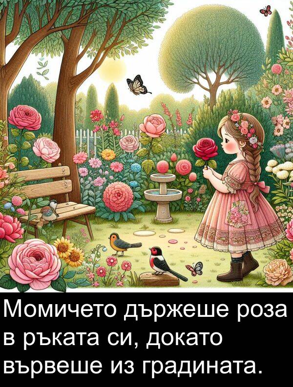 ръката: Момичето държеше роза в ръката си, докато вървеше из градината.