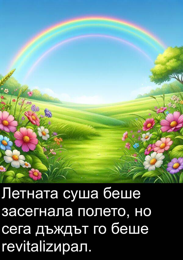 засегнала: Летната суша беше засегнала полето, но сега дъждът го беше revitalizирал.