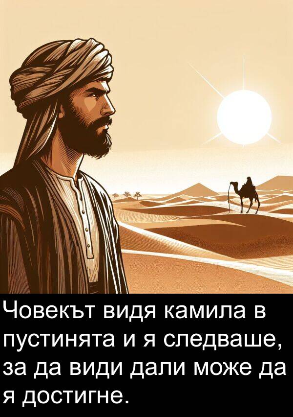 камила: Човекът видя камила в пустинята и я следваше, за да види дали може да я достигне.