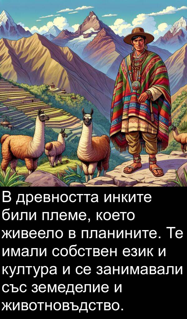 земеделие: В древността инките били племе, което живеело в планините. Те имали собствен език и култура и се занимавали със земеделие и животновъдство.