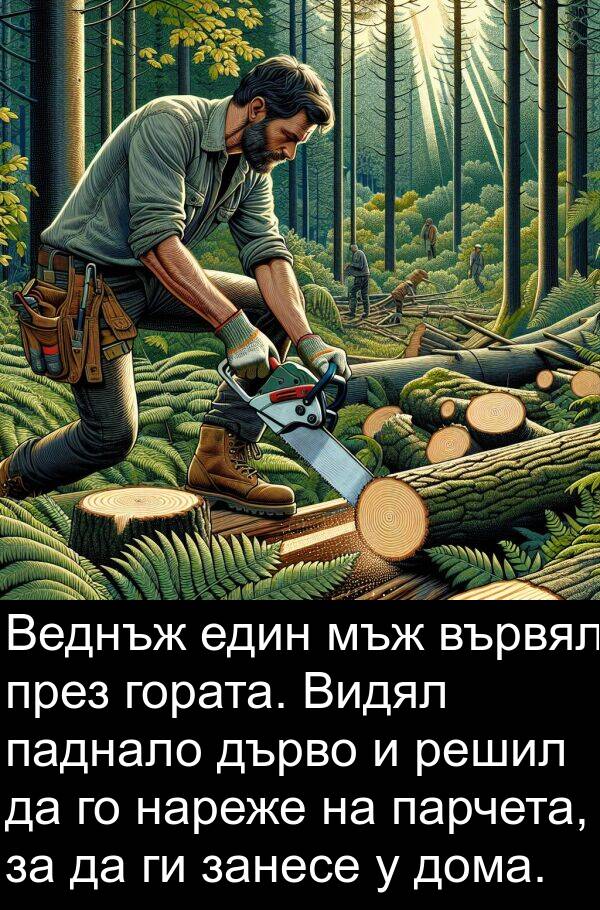 паднало: Веднъж един мъж вървял през гората. Видял паднало дърво и решил да го нареже на парчета, за да ги занесе у дома.