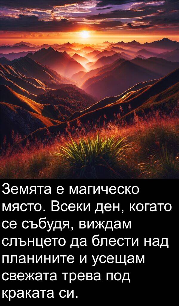 над: Земята е магическо място. Всеки ден, когато се събудя, виждам слънцето да блести над планините и усещам свежата трева под краката си.