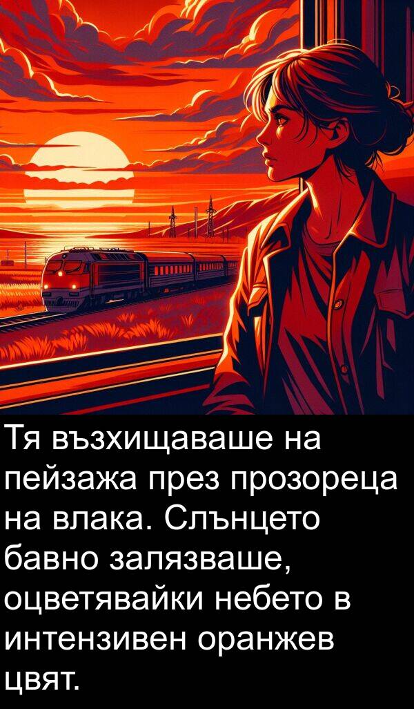 залязваше: Тя възхищаваше на пейзажа през прозореца на влака. Слънцето бавно залязваше, оцветявайки небето в интензивен оранжев цвят.