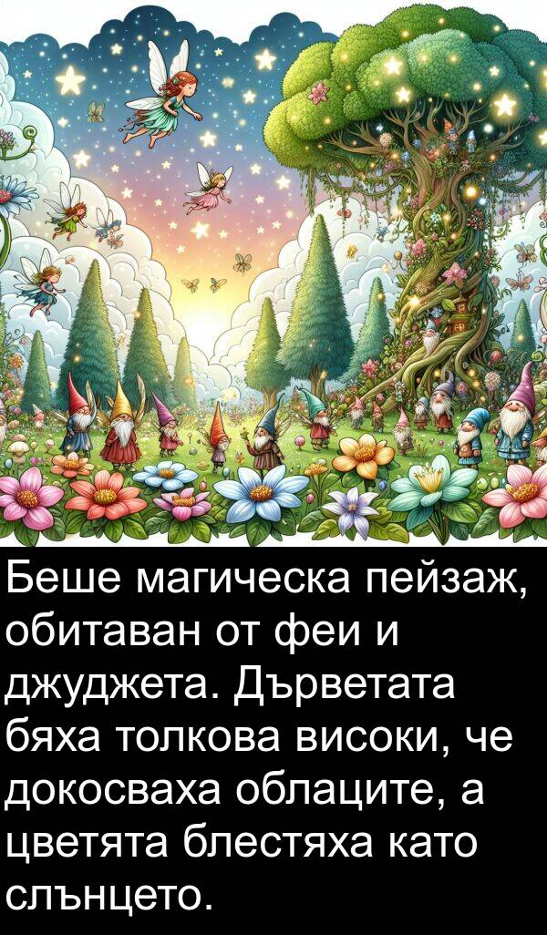 магическа: Беше магическа пейзаж, обитаван от феи и джуджета. Дърветата бяха толкова високи, че докосваха облаците, а цветята блестяха като слънцето.