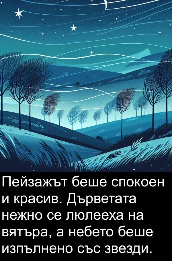 звезди: Пейзажът беше спокоен и красив. Дърветата нежно се люлееха на вятъра, а небето беше изпълнено със звезди.