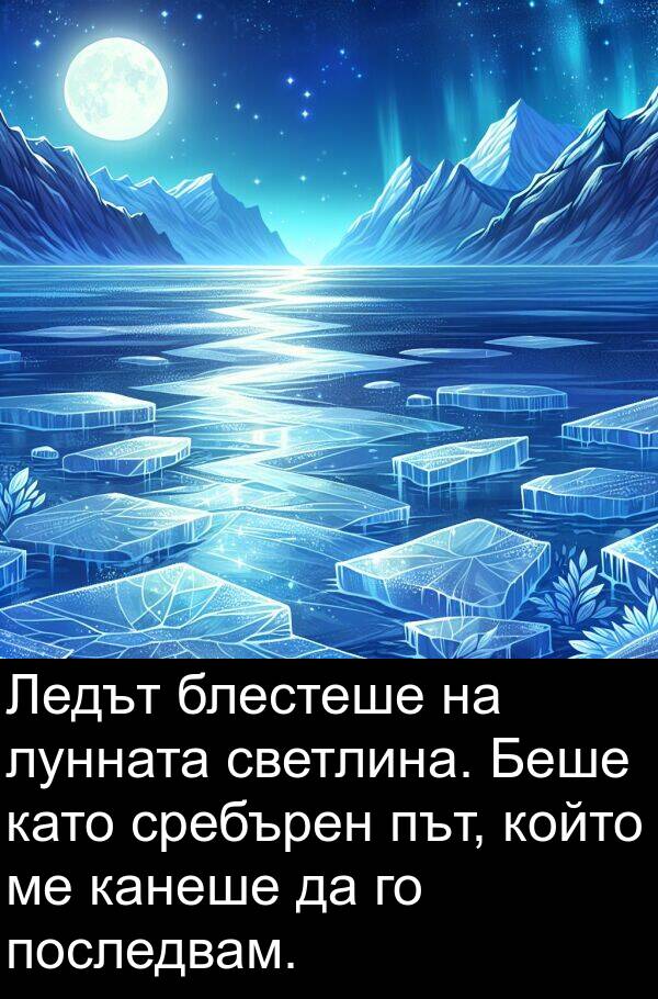 канеше: Ледът блестеше на лунната светлина. Беше като сребърен път, който ме канеше да го последвам.