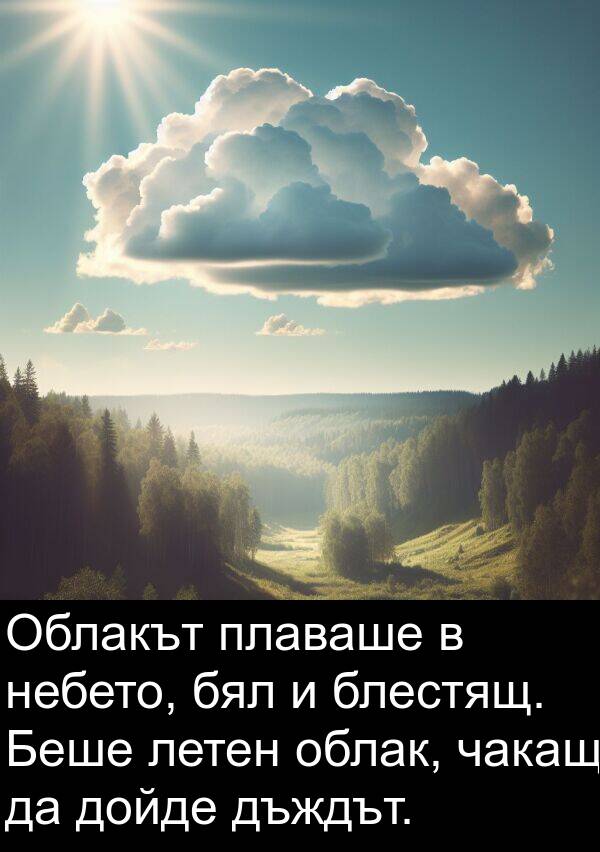 облак: Облакът плаваше в небето, бял и блестящ. Беше летен облак, чакащ да дойде дъждът.