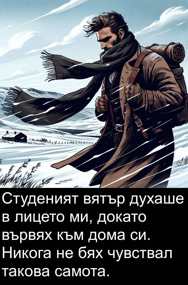 чувствал: Студеният вятър духаше в лицето ми, докато вървях към дома си. Никога не бях чувствал такова самота.