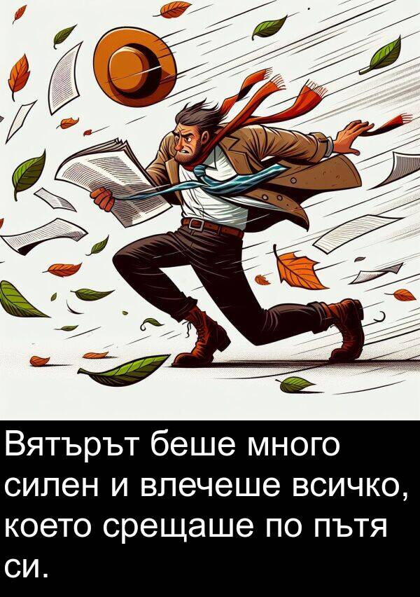 силен: Вятърът беше много силен и влечеше всичко, което срещаше по пътя си.