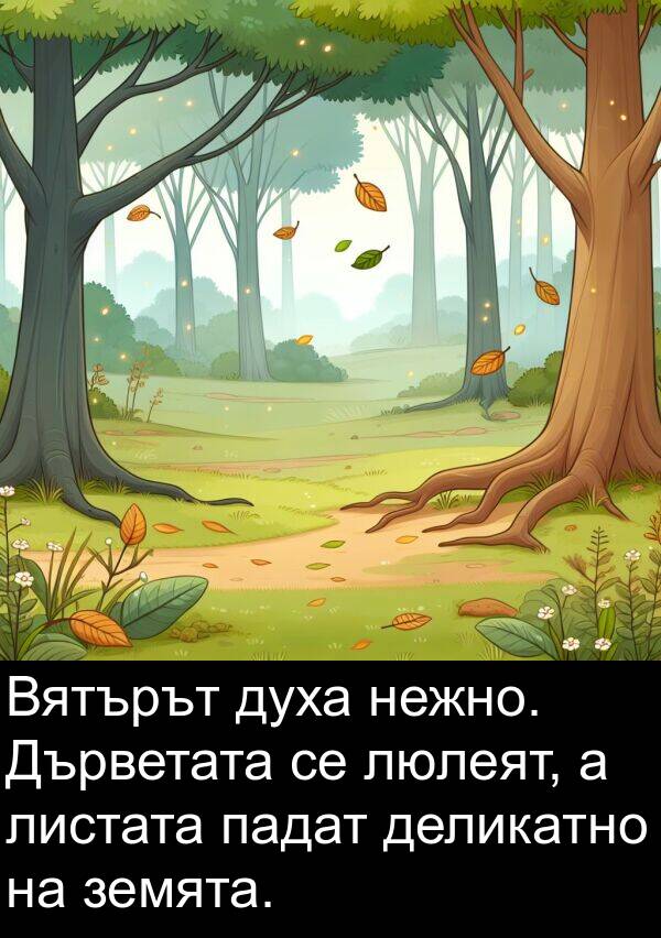 земята: Вятърът духа нежно. Дърветата се люлеят, а листата падат деликатно на земята.