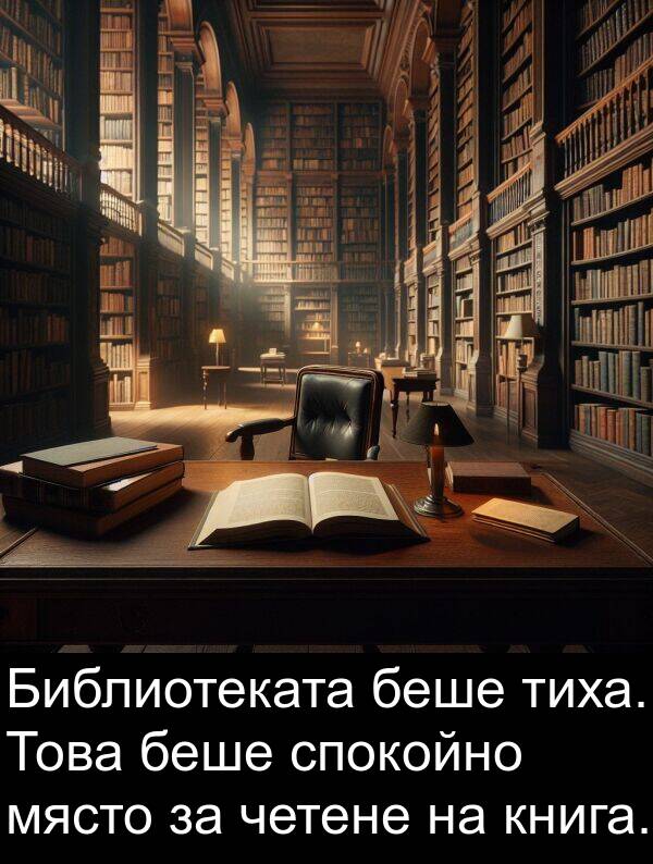 място: Библиотеката беше тиха. Това беше спокойно място за четене на книга.