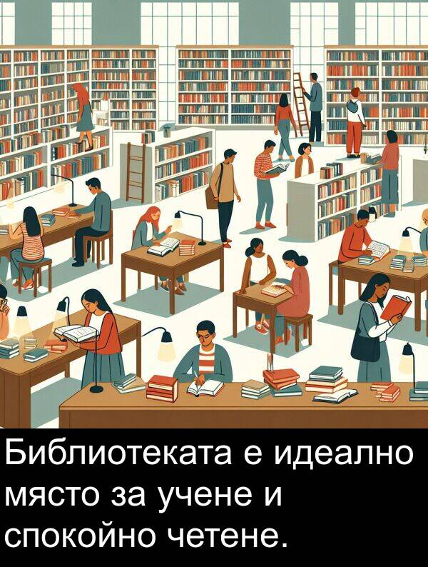 идеално: Библиотеката е идеално място за учене и спокойно четене.