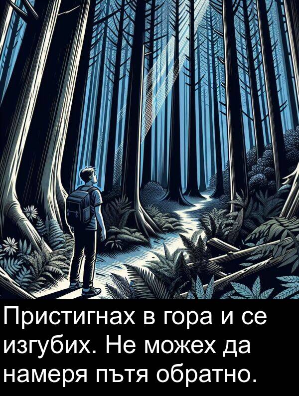 намеря: Пристигнах в гора и се изгубих. Не можех да намеря пътя обратно.