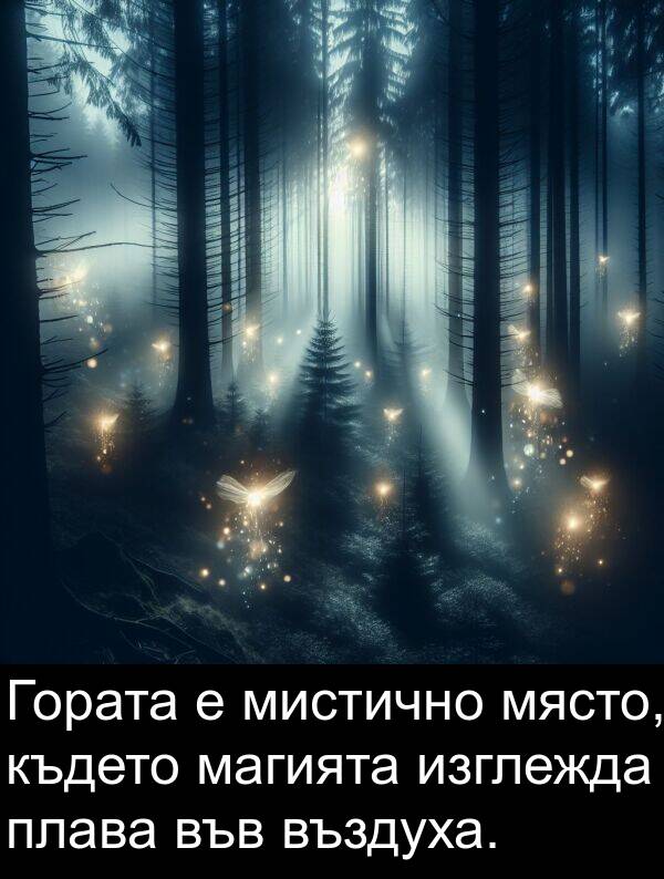 изглежда: Гората е мистично място, където магията изглежда плава във въздуха.