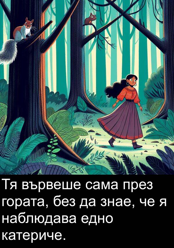 знае: Тя вървеше сама през гората, без да знае, че я наблюдава едно катериче.
