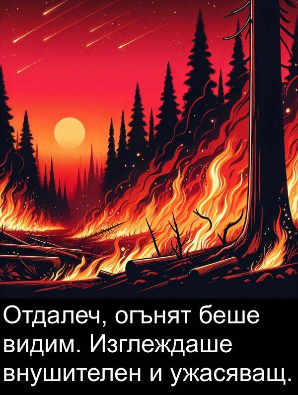 видим: Отдалеч, огънят беше видим. Изглеждаше внушителен и ужасяващ.