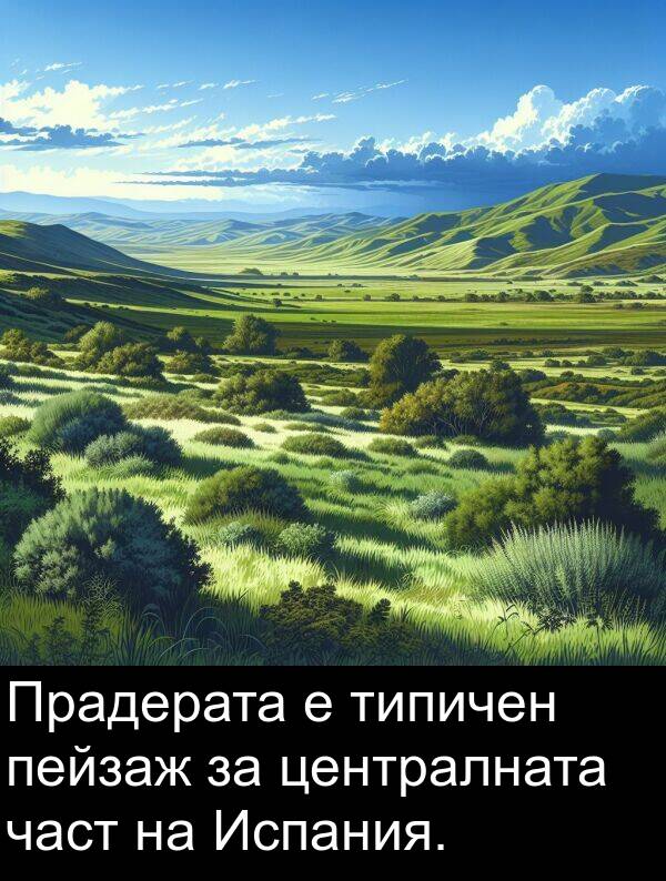 пейзаж: Прадерата е типичен пейзаж за централната част на Испания.