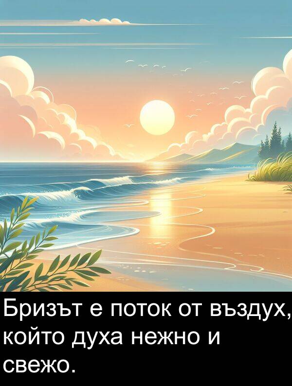 поток: Бризът е поток от въздух, който духа нежно и свежо.