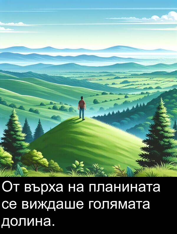 виждаше: От върха на планината се виждаше голямата долина.