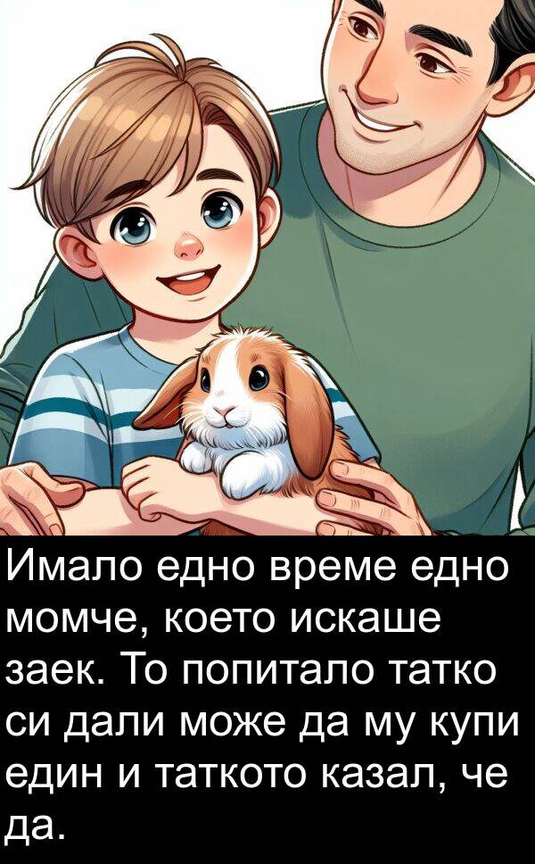 казал: Имало едно време едно момче, което искаше заек. То попитало татко си дали може да му купи един и таткото казал, че да.