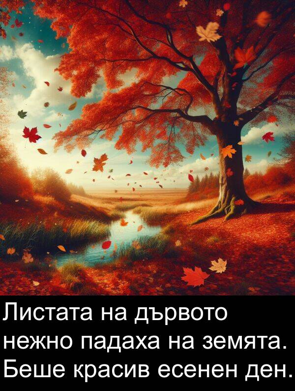 земята: Листата на дървото нежно падаха на земята. Беше красив есенен ден.