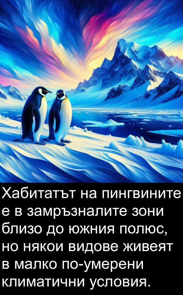 зони: Хабитатът на пингвините е в замръзналите зони близо до южния полюс, но някои видове живеят в малко по-умерени климатични условия.