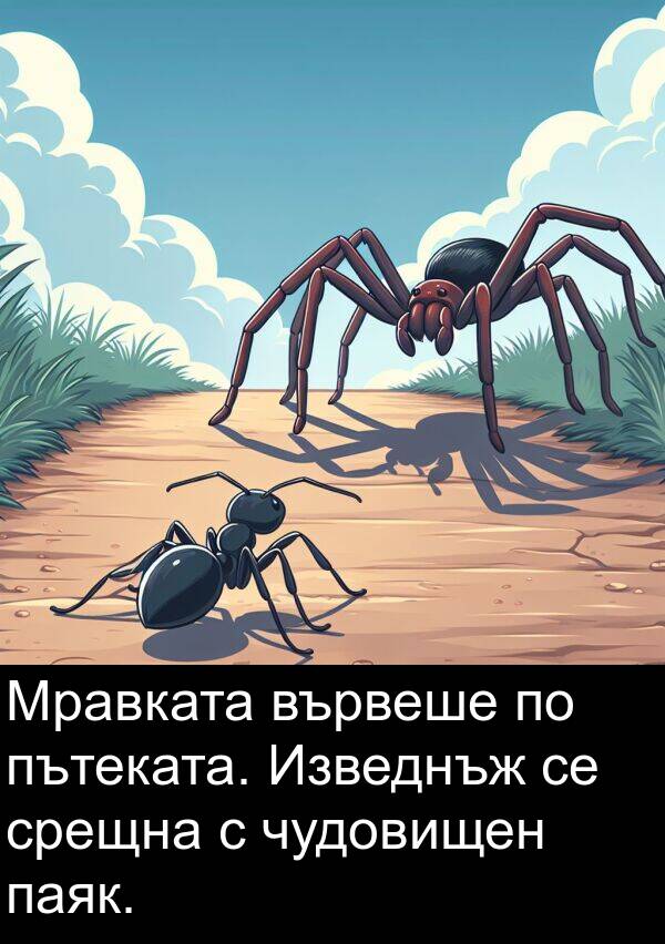 паяк: Мравката вървеше по пътеката. Изведнъж се срещна с чудовищен паяк.