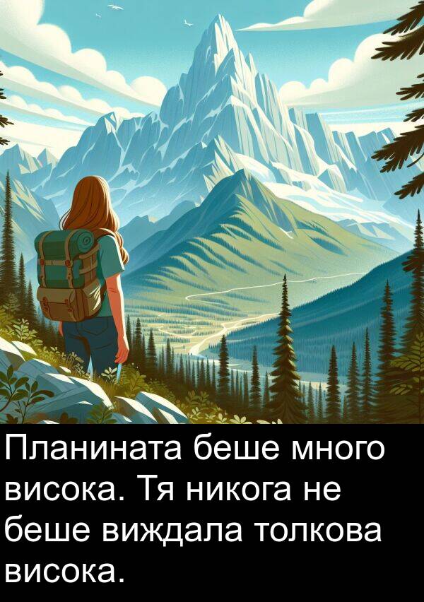 виждала: Планината беше много висока. Тя никога не беше виждала толкова висока.