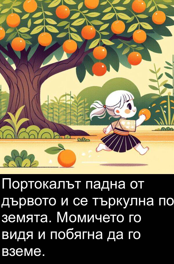 земята: Портокалът падна от дървото и се търкулна по земята. Момичето го видя и побягна да го вземе.