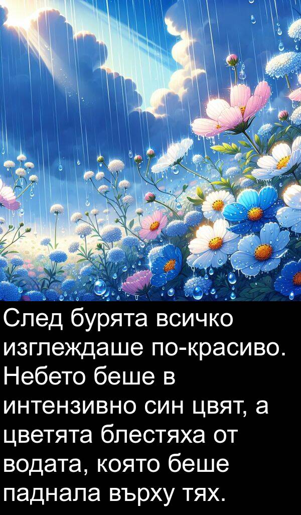 паднала: След бурята всичко изглеждаше по-красиво. Небето беше в интензивно син цвят, а цветята блестяха от водата, която беше паднала върху тях.