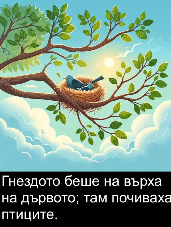 птиците: Гнездото беше на върха на дървото; там почиваха птиците.