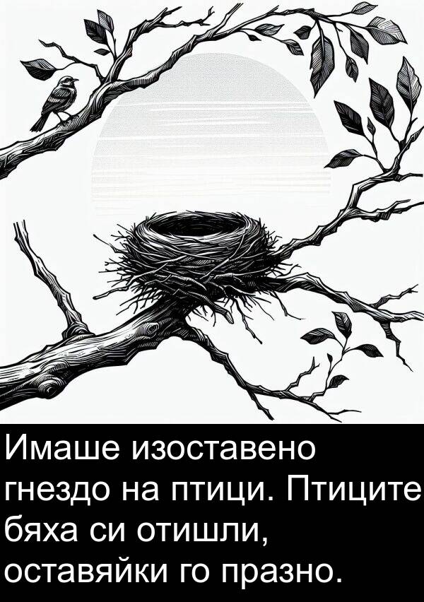 гнездо: Имаше изоставено гнездо на птици. Птиците бяха си отишли, оставяйки го празно.