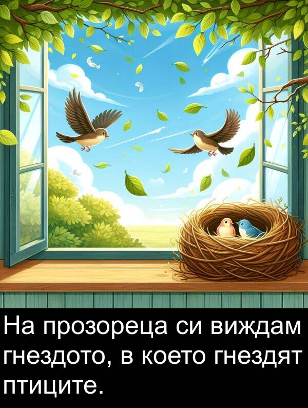 гнездото: На прозореца си виждам гнездото, в което гнездят птиците.