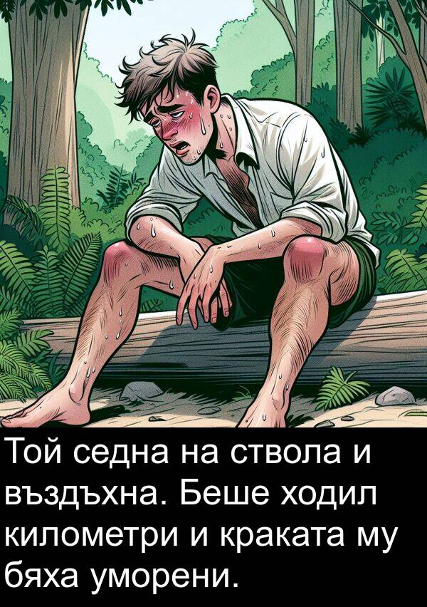 километри: Той седна на ствола и въздъхна. Беше ходил километри и краката му бяха уморени.