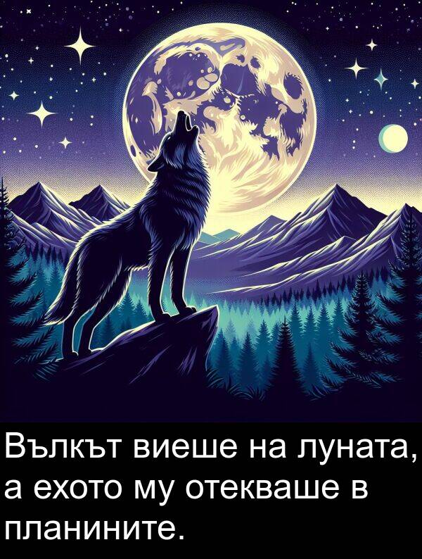 планините: Вълкът виеше на луната, а ехото му отекваше в планините.