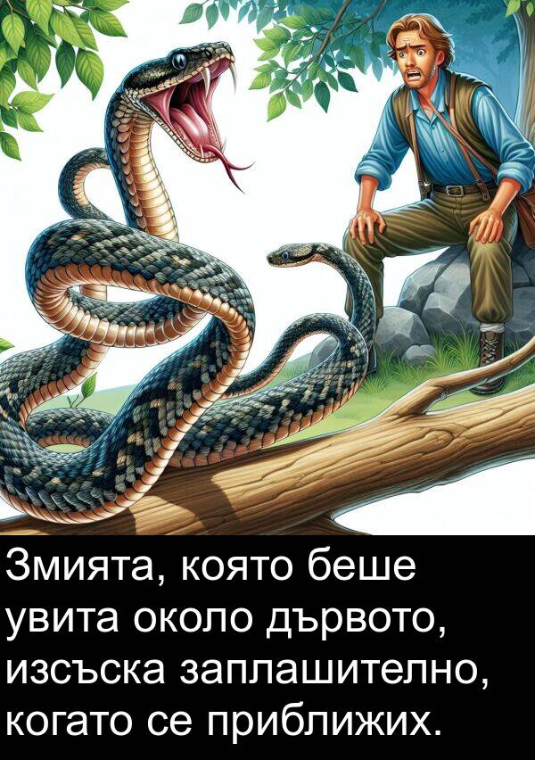 приближих: Змията, която беше увита около дървото, изсъска заплашително, когато се приближих.