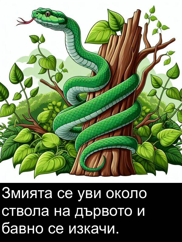 изкачи: Змията се уви около ствола на дървото и бавно се изкачи.