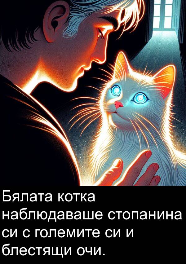големите: Бялата котка наблюдаваше стопанина си с големите си и блестящи очи.