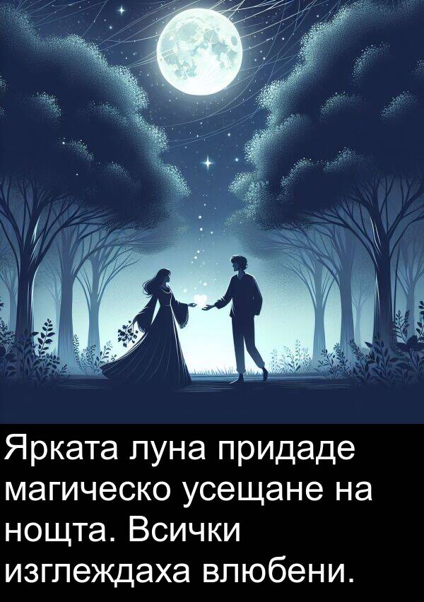 изглеждаха: Ярката луна придаде магическо усещане на нощта. Всички изглеждаха влюбени.