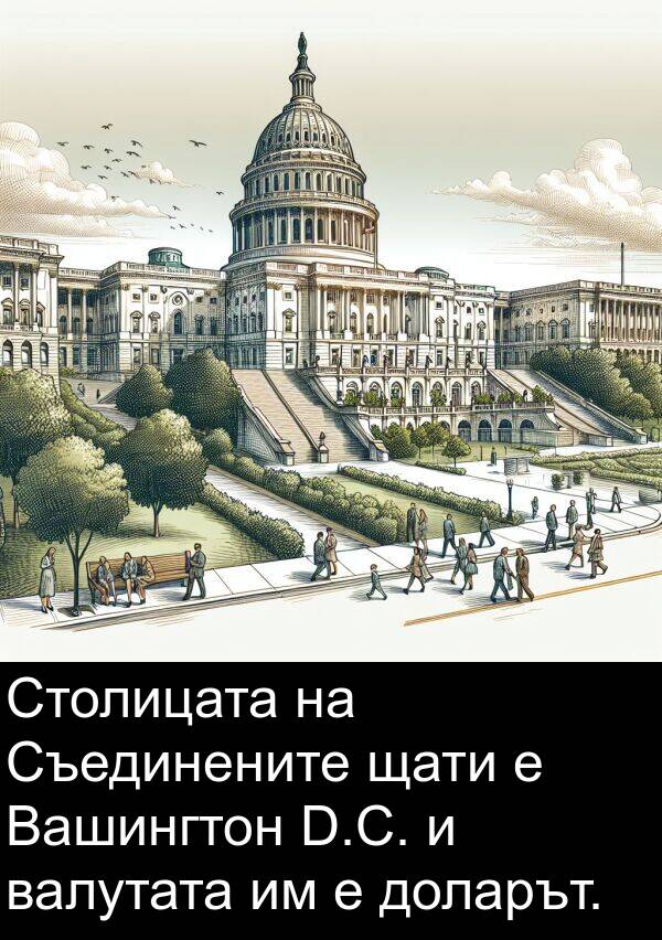 щати: Столицата на Съединените щати е Вашингтон D.C. и валутата им е доларът.