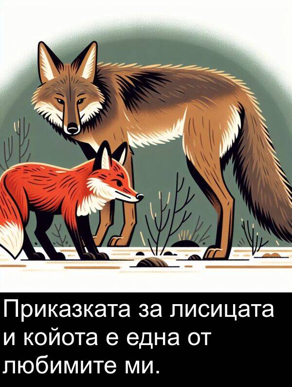 една: Приказката за лисицата и койота е една от любимите ми.