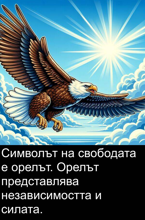 представлява: Символът на свободата е орелът. Орелът представлява независимостта и силата.