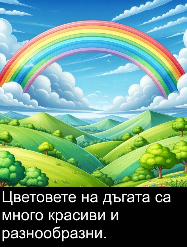 красиви: Цветовете на дъгата са много красиви и разнообразни.