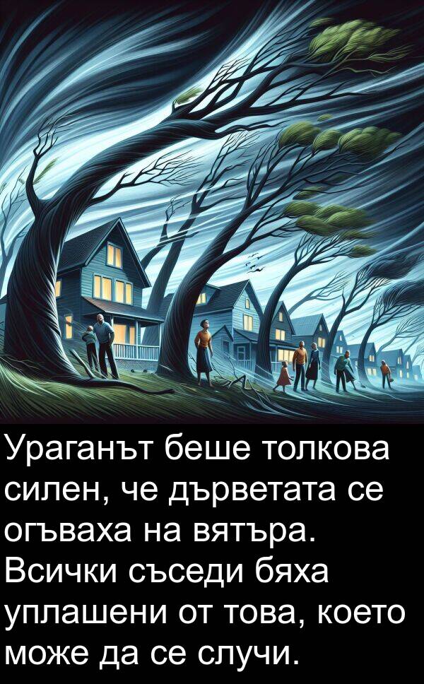 уплашени: Ураганът беше толкова силен, че дърветата се огъваха на вятъра. Всички съседи бяха уплашени от това, което може да се случи.