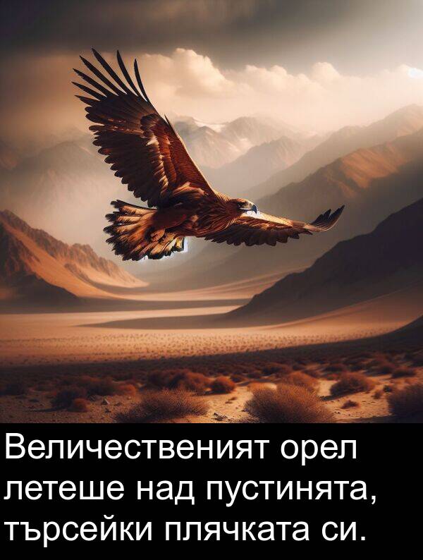 над: Величественият орел летеше над пустинята, търсейки плячката си.