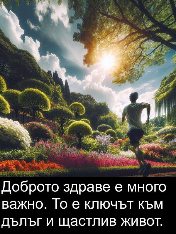 здраве: Доброто здраве е много важно. То е ключът към дълъг и щастлив живот.