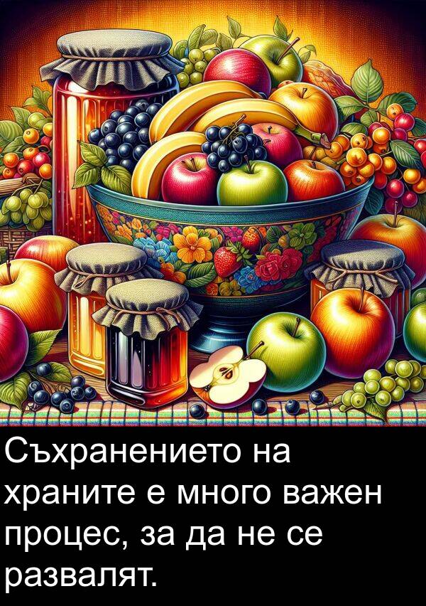 важен: Съхранението на храните е много важен процес, за да не се развалят.