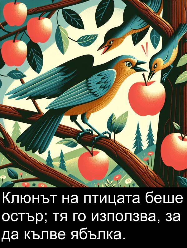 ябълка: Клюнът на птицата беше остър; тя го използва, за да кълве ябълка.